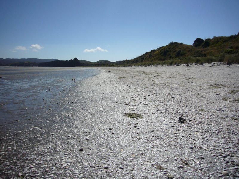Travel - New Zealand - North West and Farewell Spit